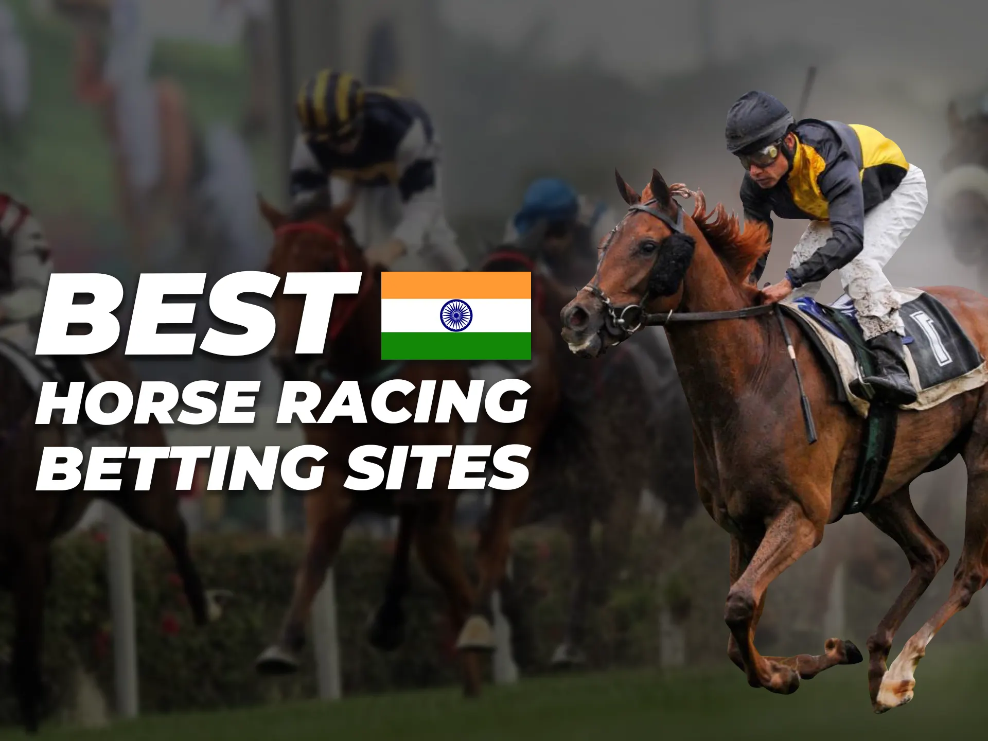 The best horse racing betting sites for connoisseurs of the sport.