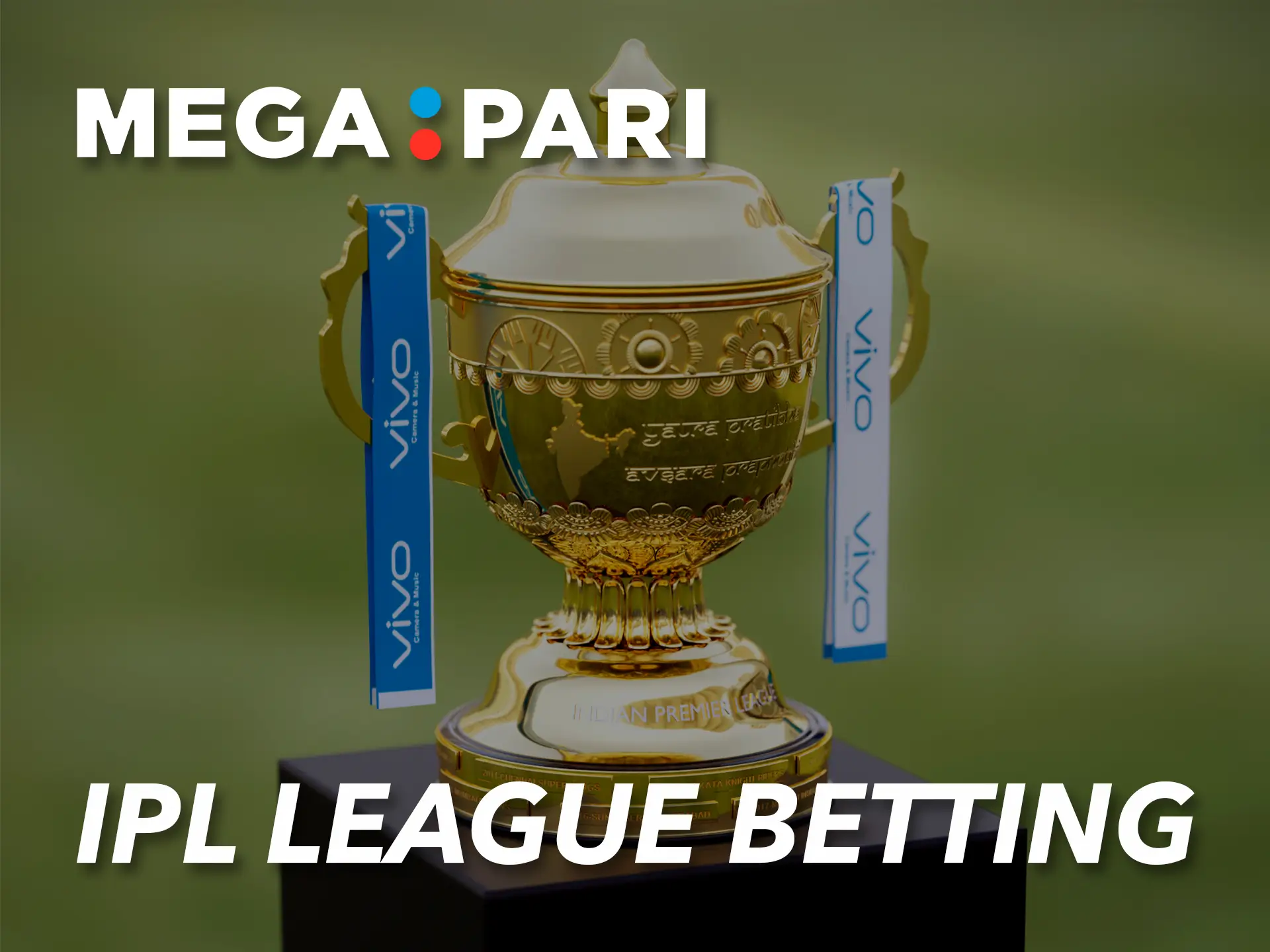 Megapari has registered the biggest cricket tournament in India.
