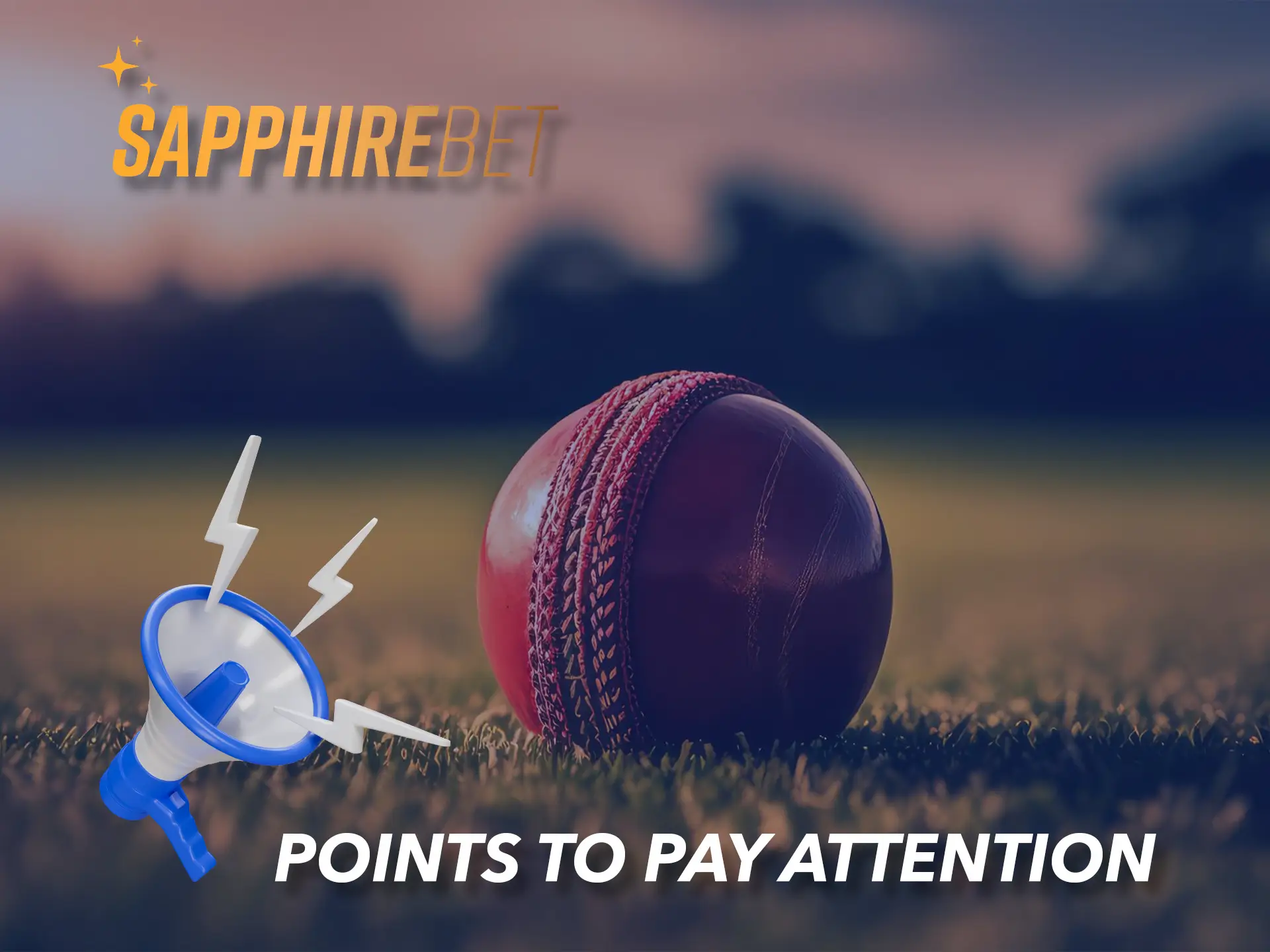 Please note the terms and conditions of Sapphirebet Casino.