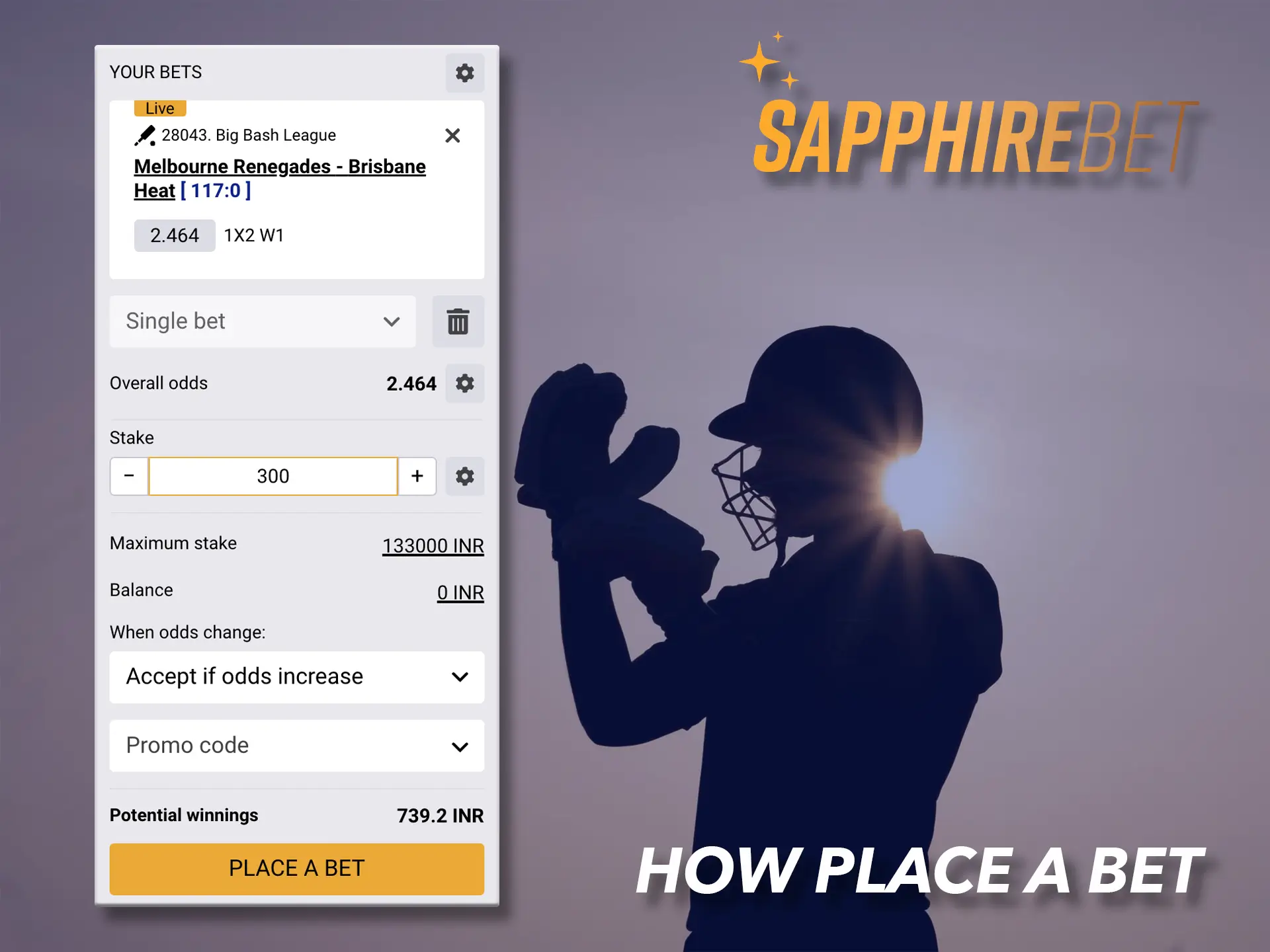 Choose your favourite sporting discipline and place your bet at Sapphirebet.