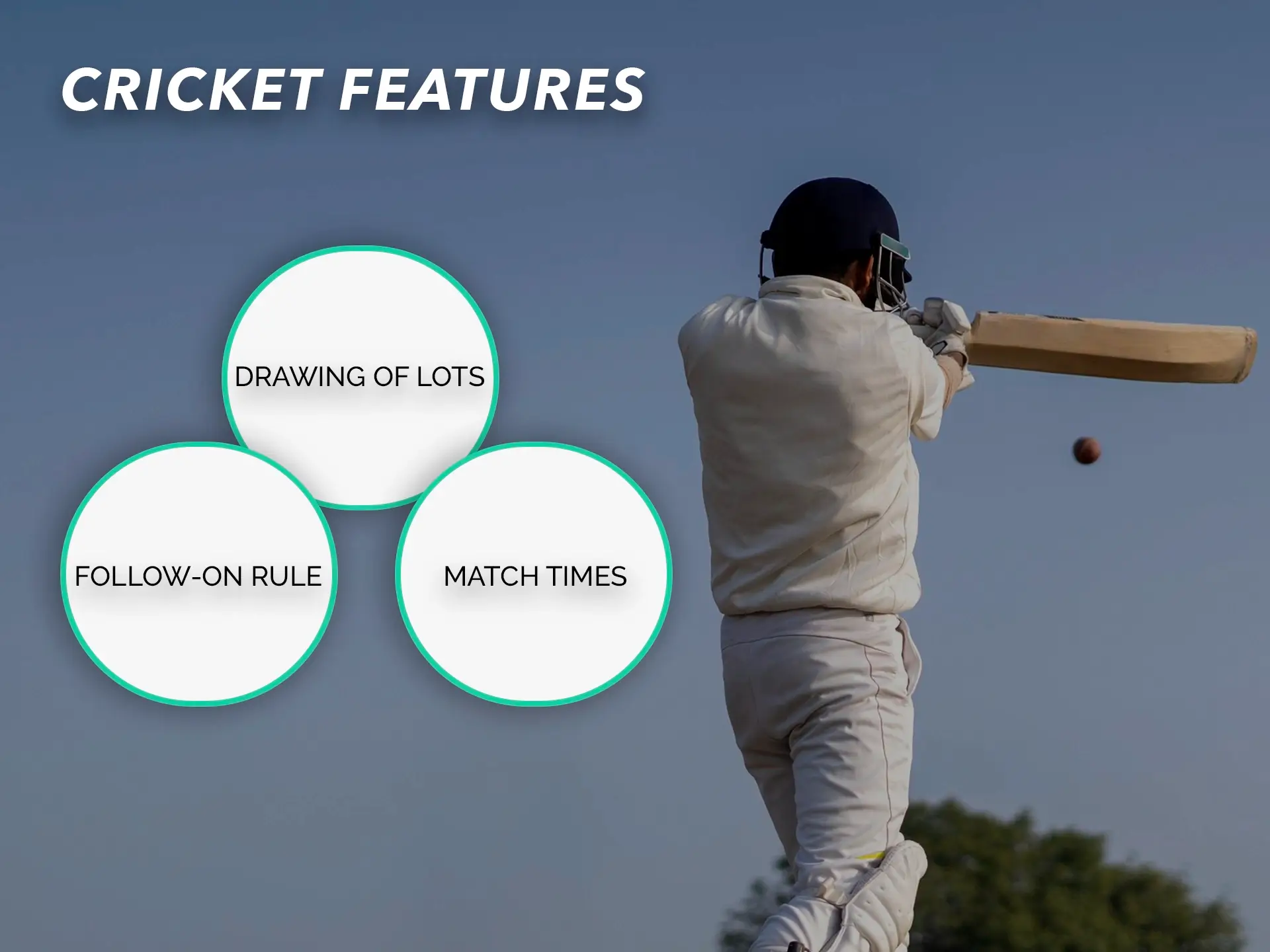 Learn the features of cricket and take advantage of them when betting.