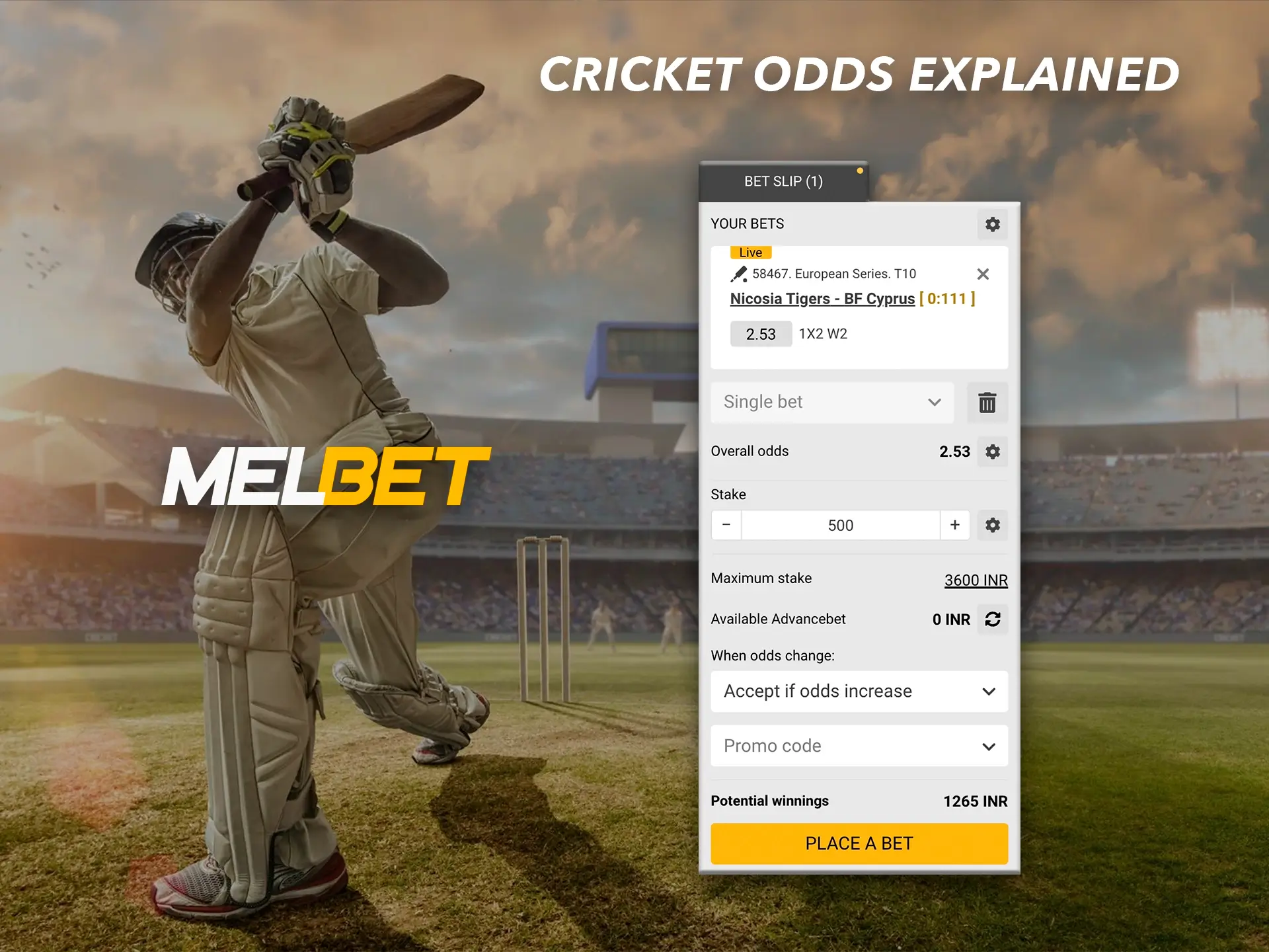 Melbet offers the most favourable conditions for cricket betting.