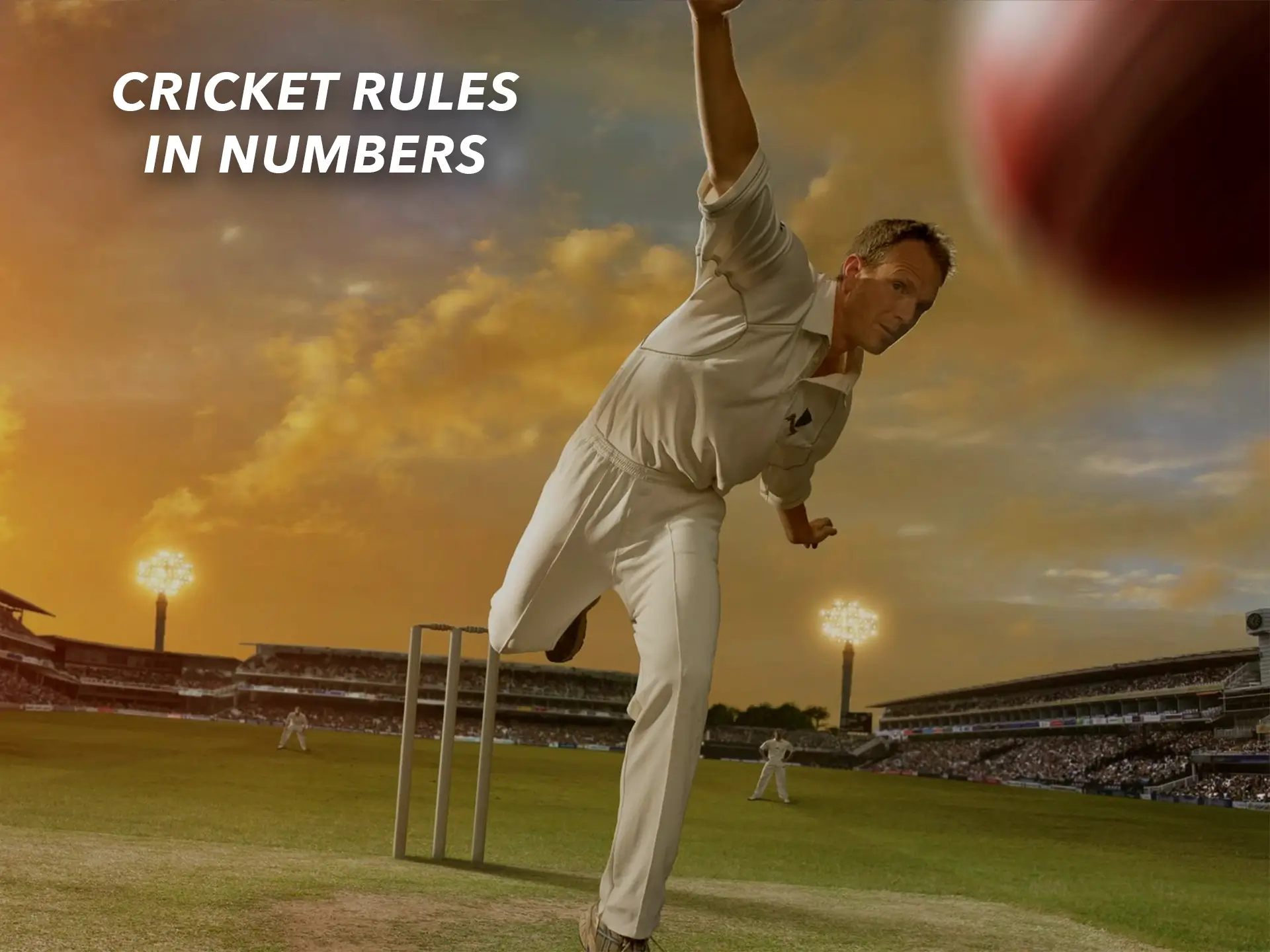 Cricket lovers can learn more about it in numbers.