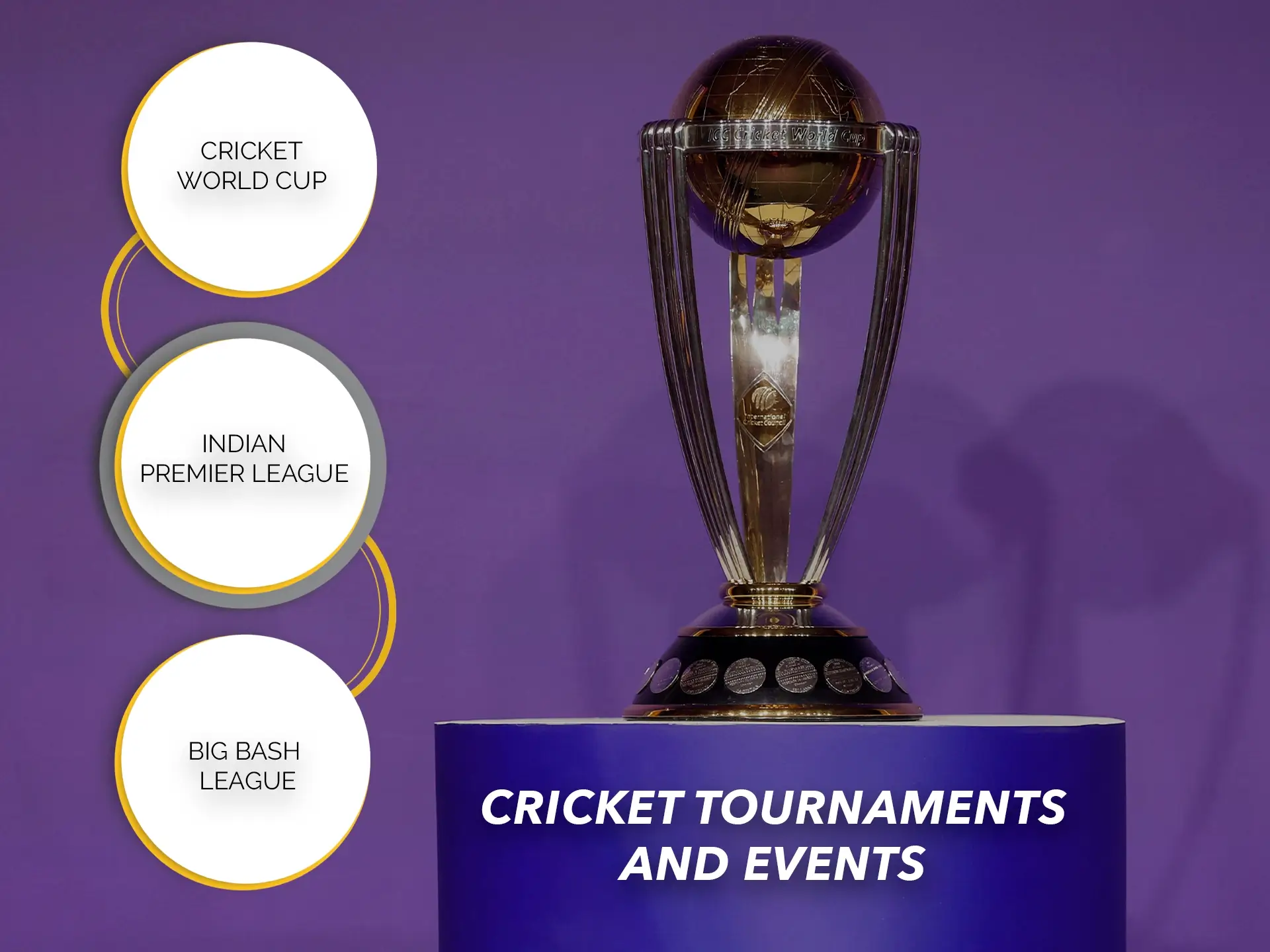 Cricket is many popular tournaments and events that can help you make money when betting.