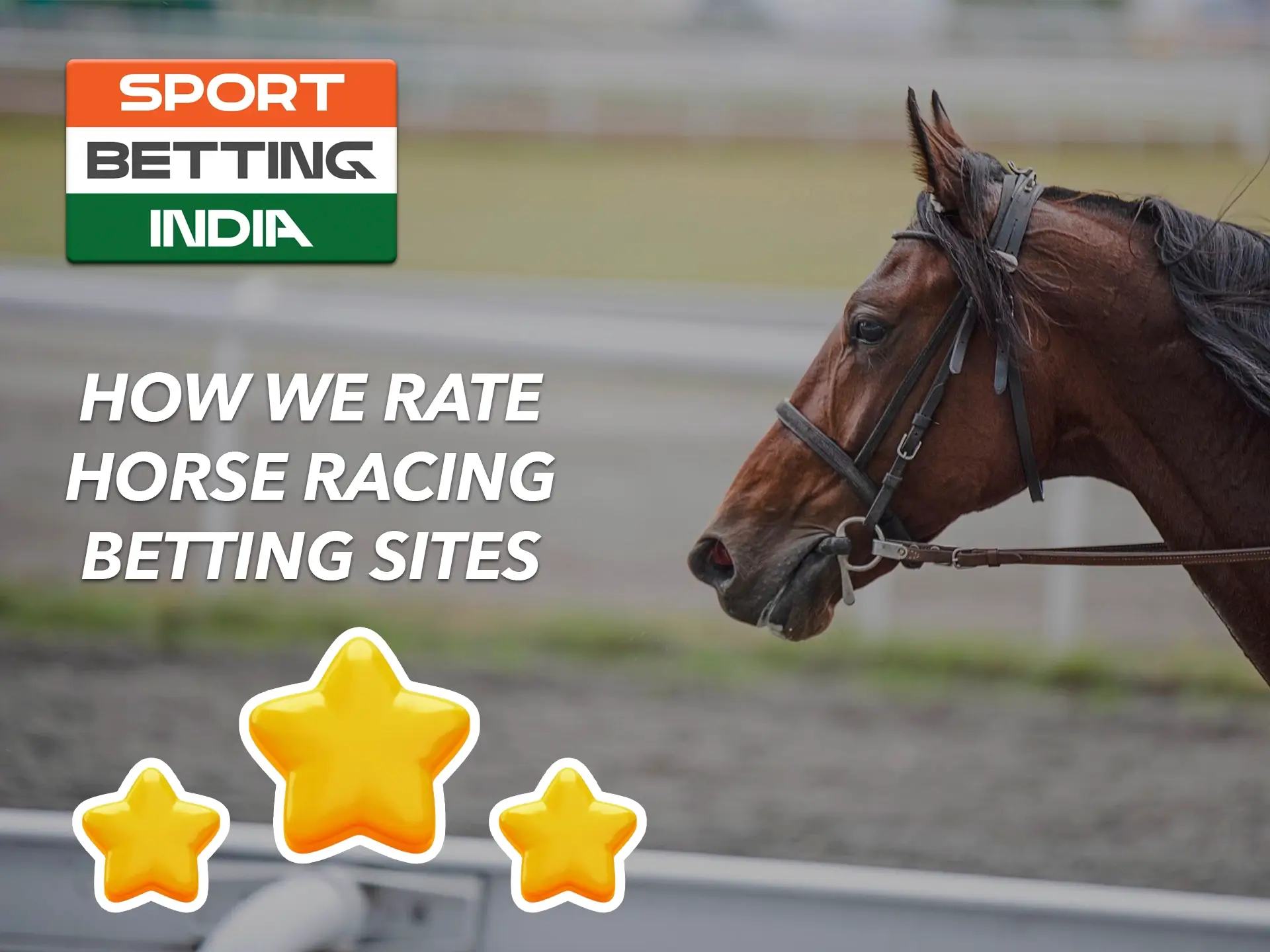 Pay attention to key factors when choosing a bookmaker to bet on horse racing.