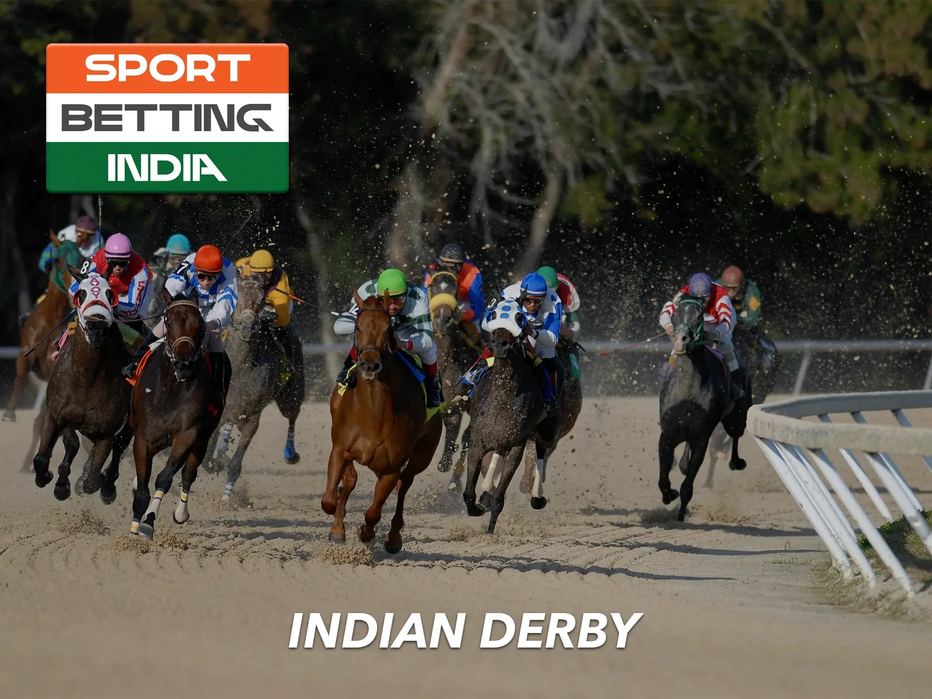 Use your opportunity to make a quality prediction on one of the popular horse racing tournaments in India.