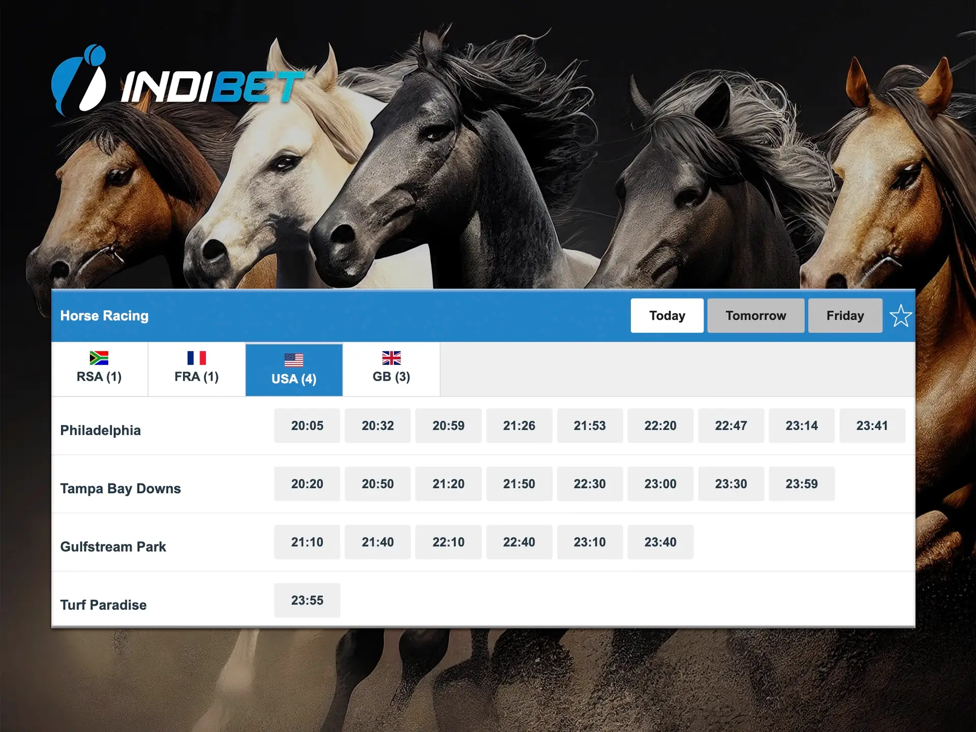 Indibet is one of the best bookmakers for horse racing betting.