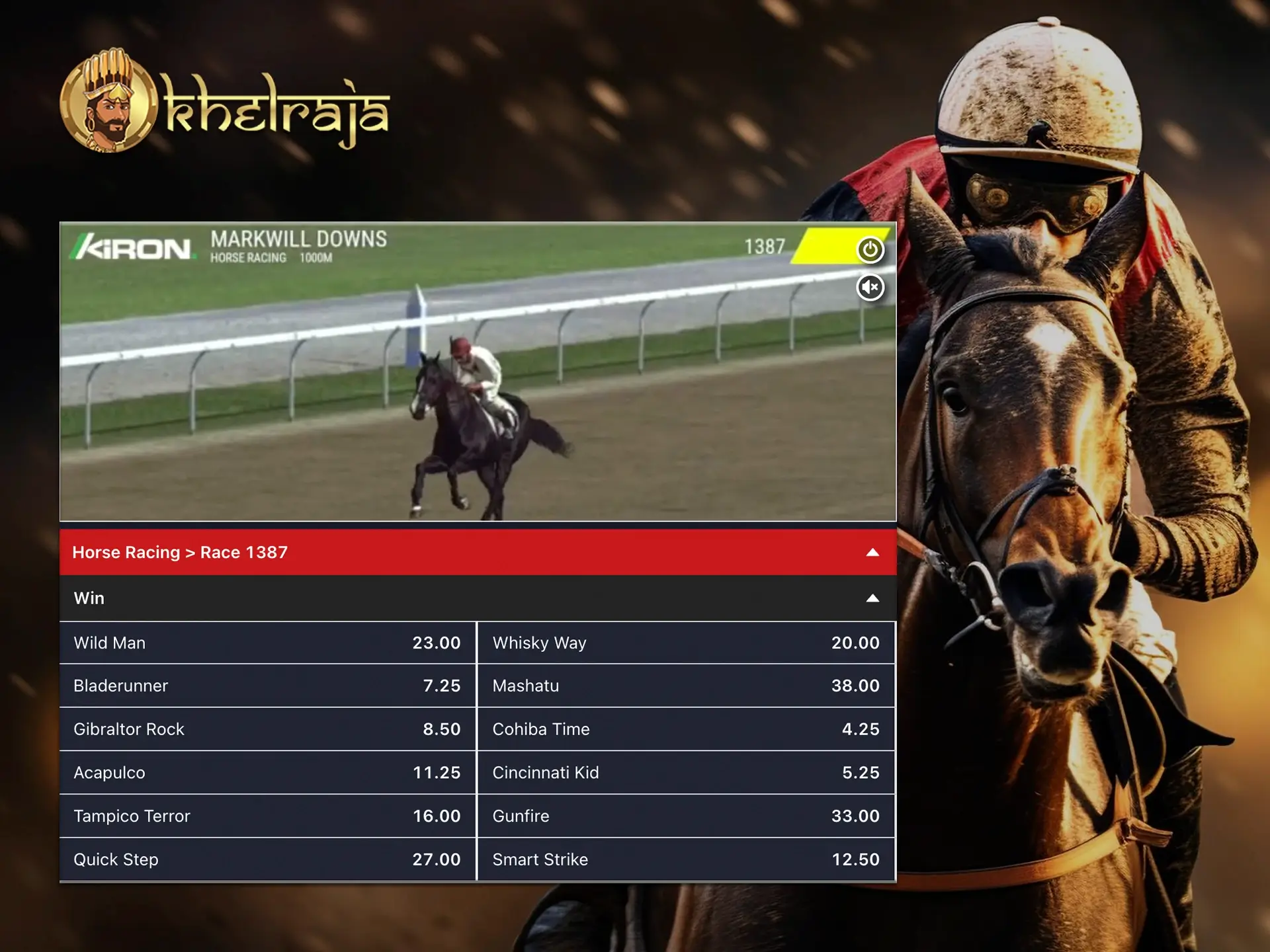 At the Khelraja website, you will find plenty of attractive odds for betting on horse racing.