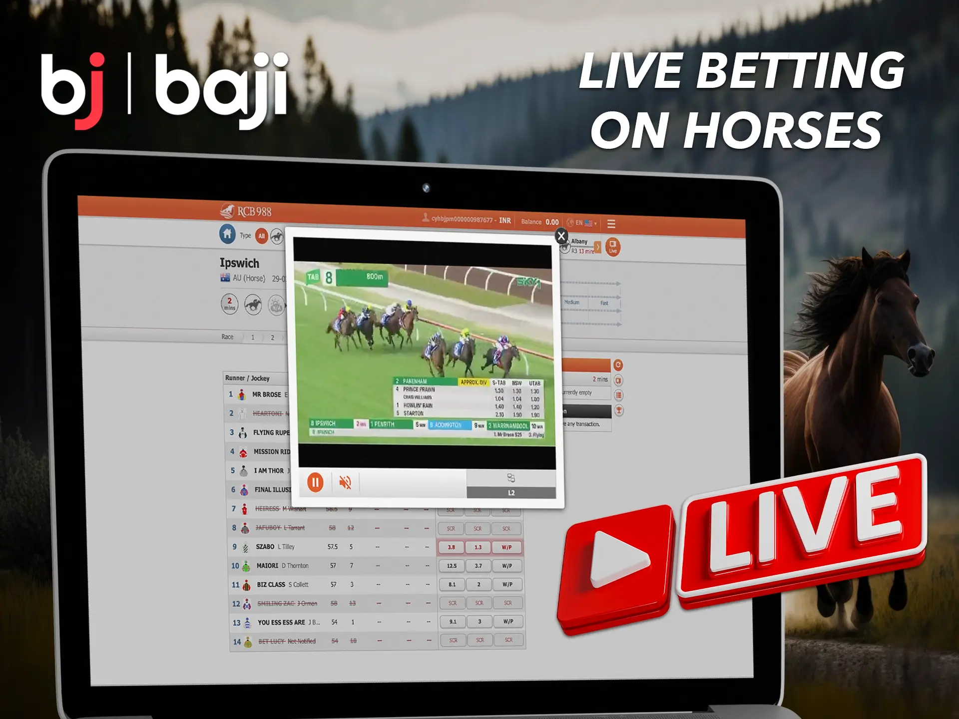 Watch the race live on the Baji website and place your bets based on the positions of your favourites in the race.