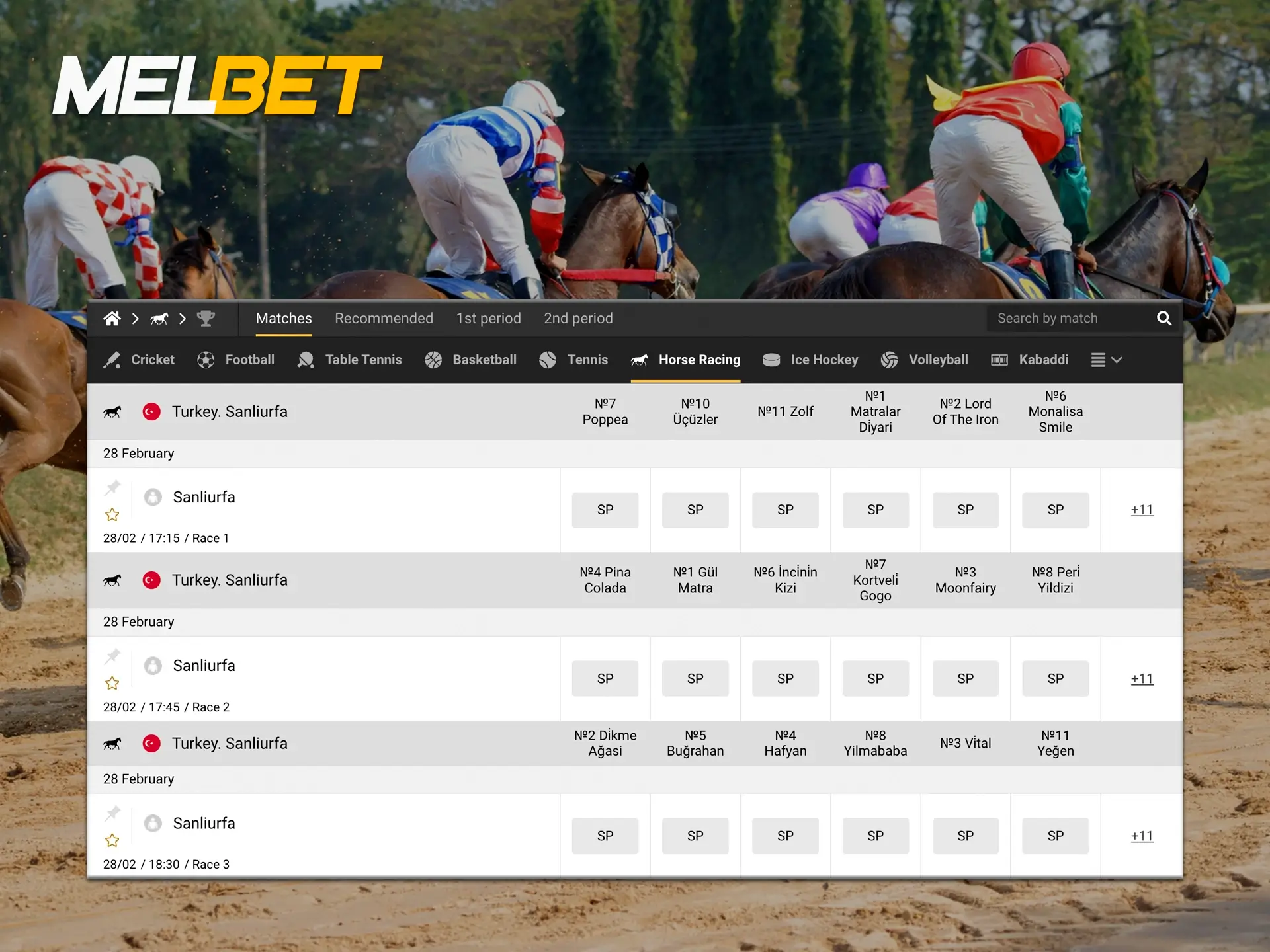At Melbet you will find great betting opportunities on horse racing.