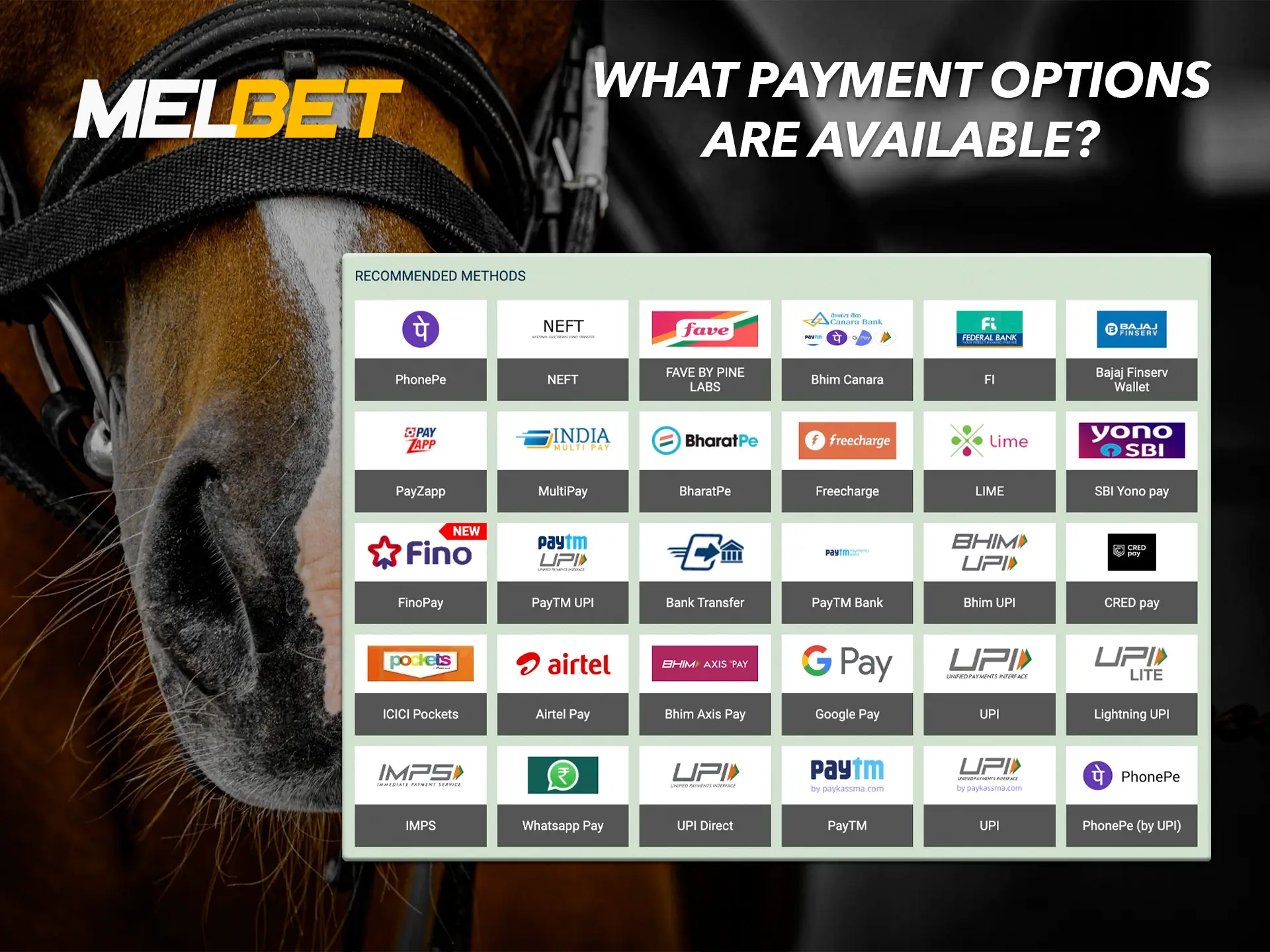 Use convenient and favourable deposit methods to bet on horse racing at Melbet.