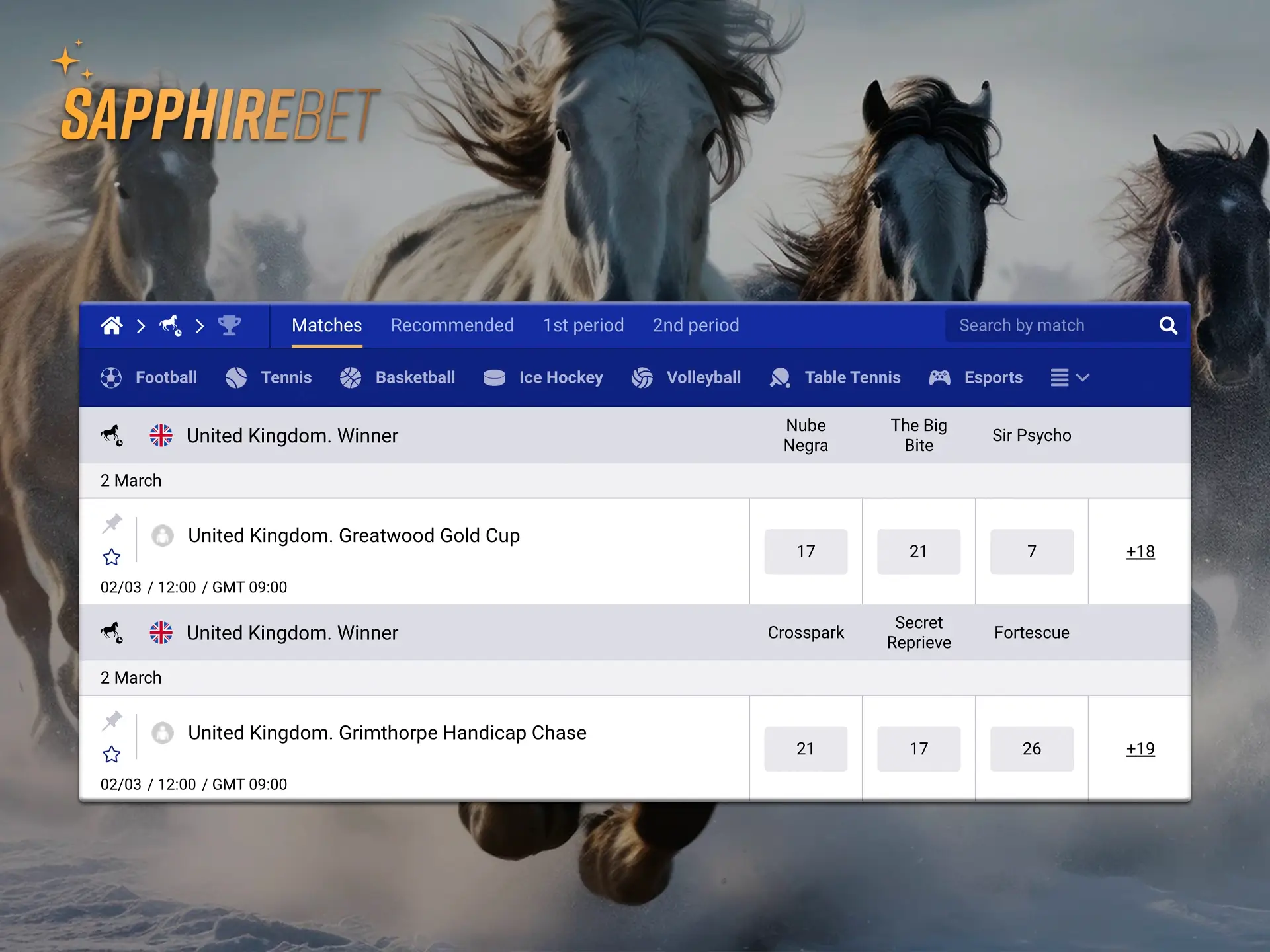 Win when betting on horse racing at SapphireBet and use statistics when analysing.