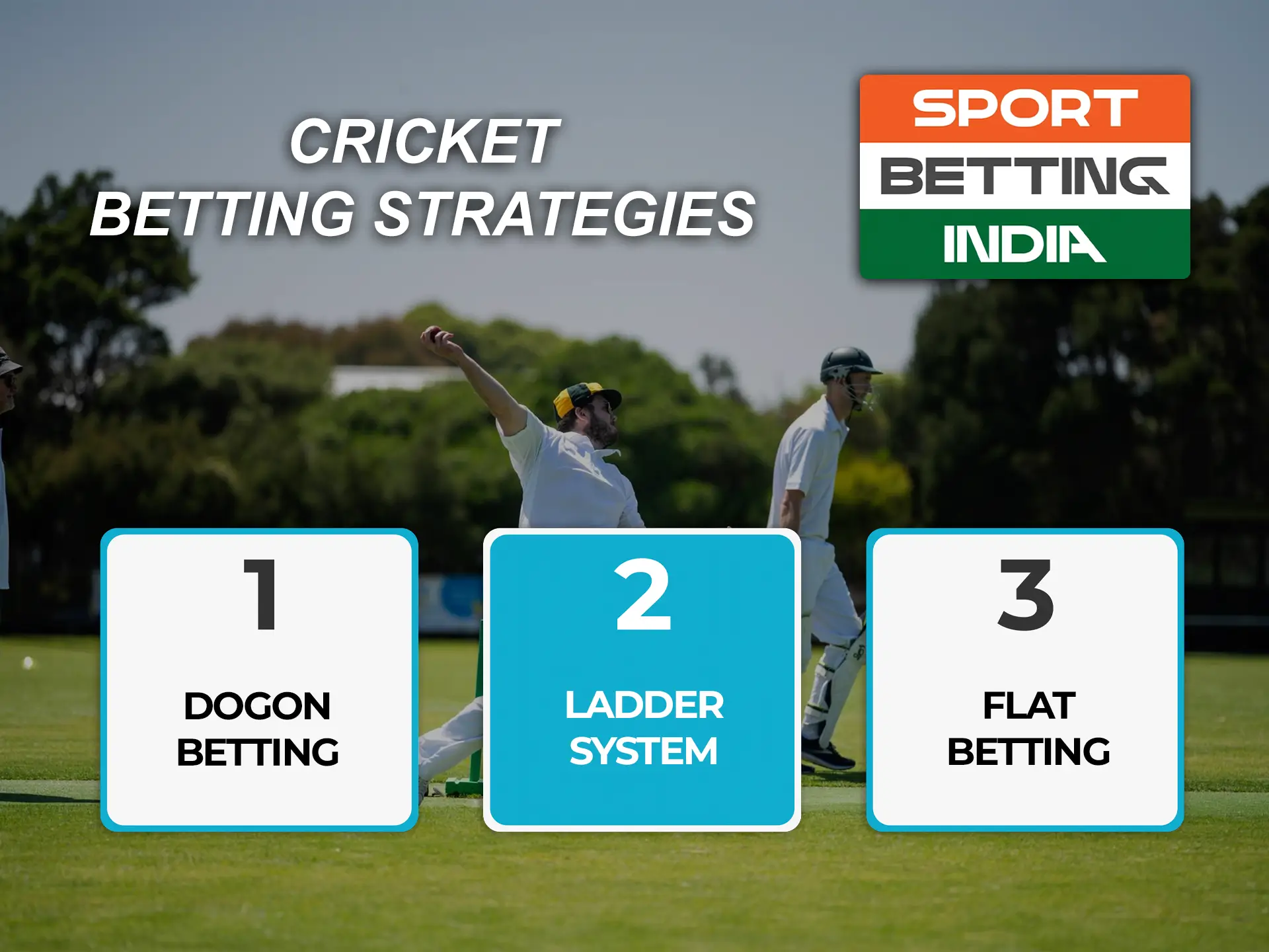 Learn cricket and place your bets using the strategies presented.